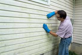 Best Siding Painting and Refinishing  in Mountain City, GA